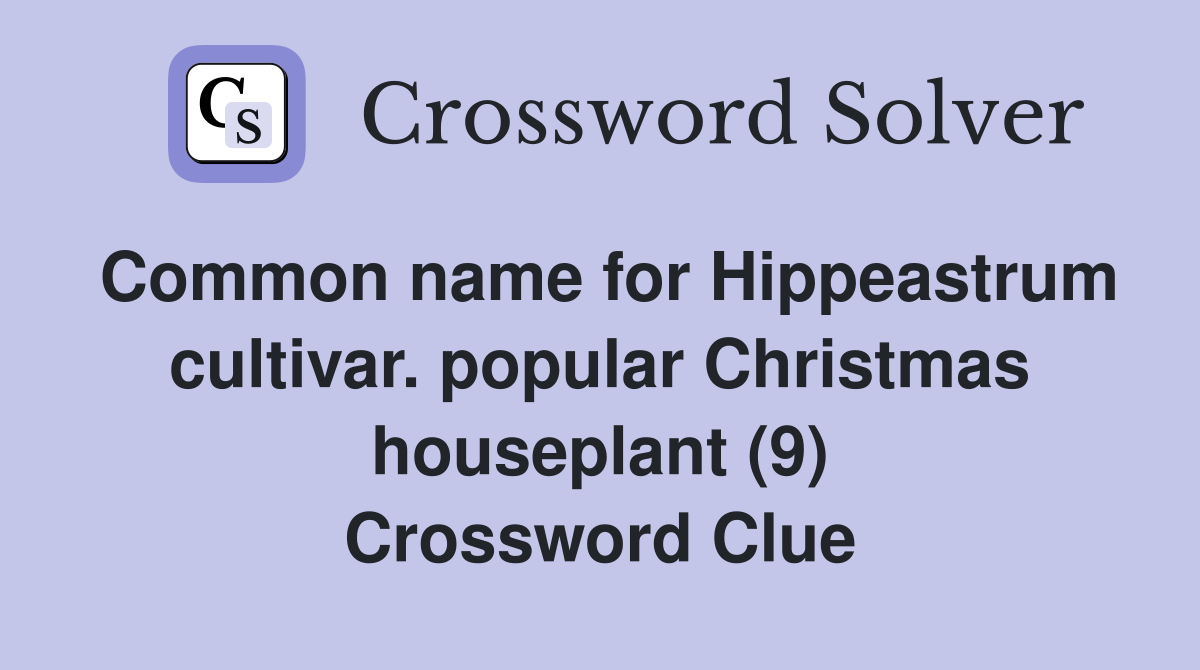 Common name for Hippeastrum cultivar. popular Christmas houseplant (9) Crossword Clue