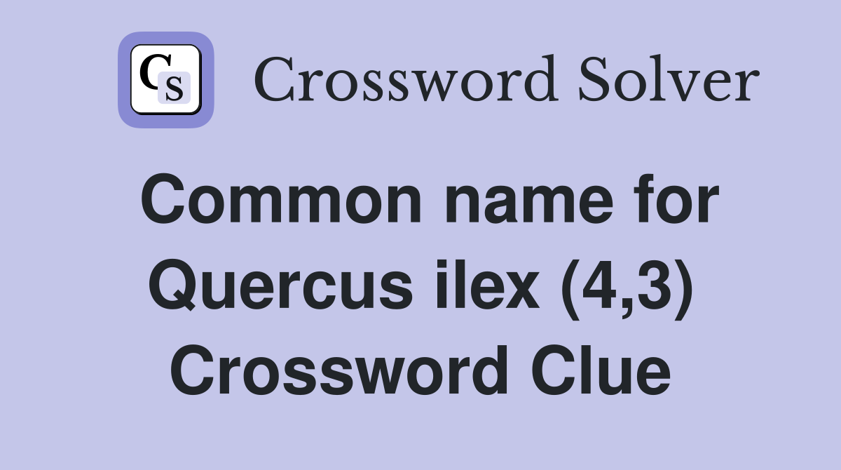 Common name for Quercus ilex (4,3) Crossword Clue