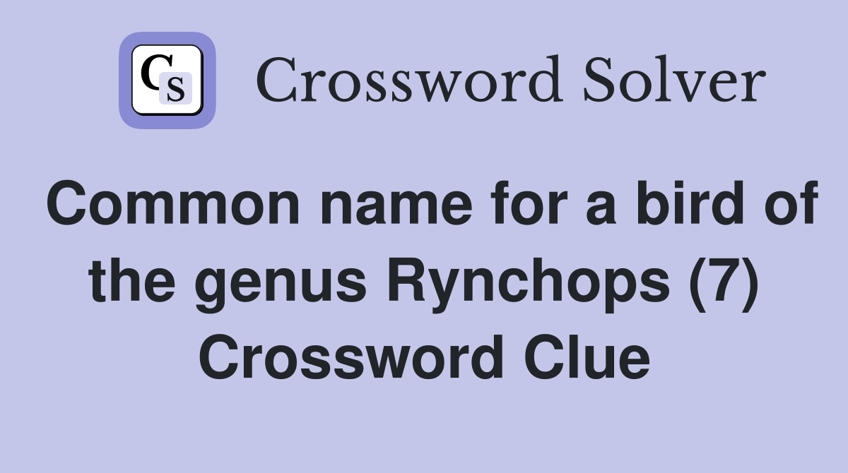 Common name for a bird of the genus Rynchops (7) Crossword Clue