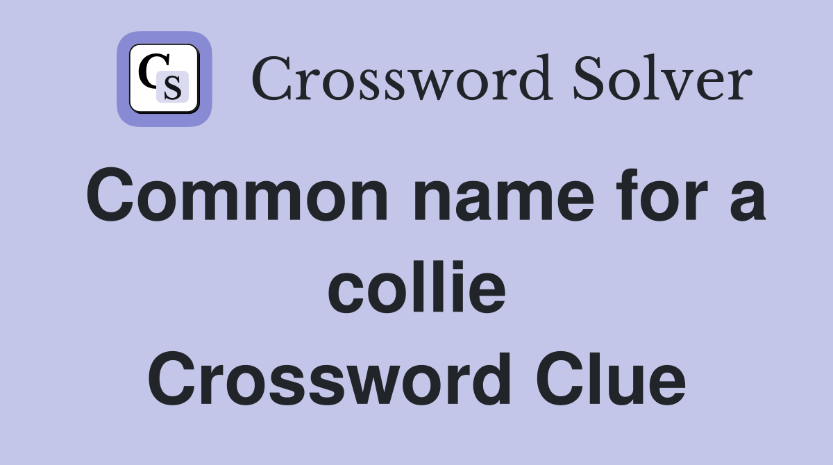 Common name for a collie Crossword Clue
