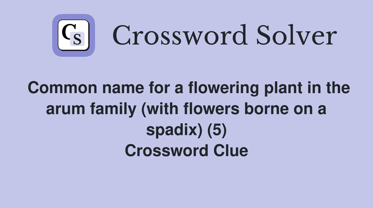 Common name for a flowering plant in the arum family (with flowers borne on a spadix) (5) Crossword Clue