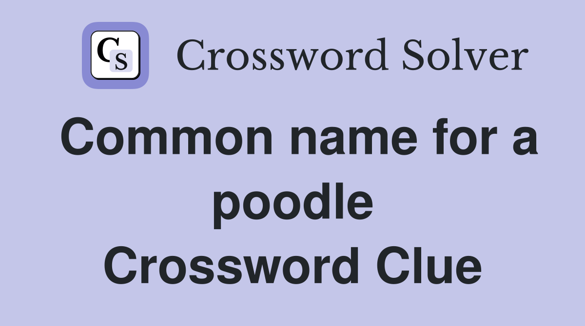 Common name for a poodle Crossword Clue