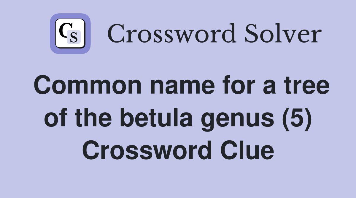 Common name for a tree of the betula genus (5) Crossword Clue