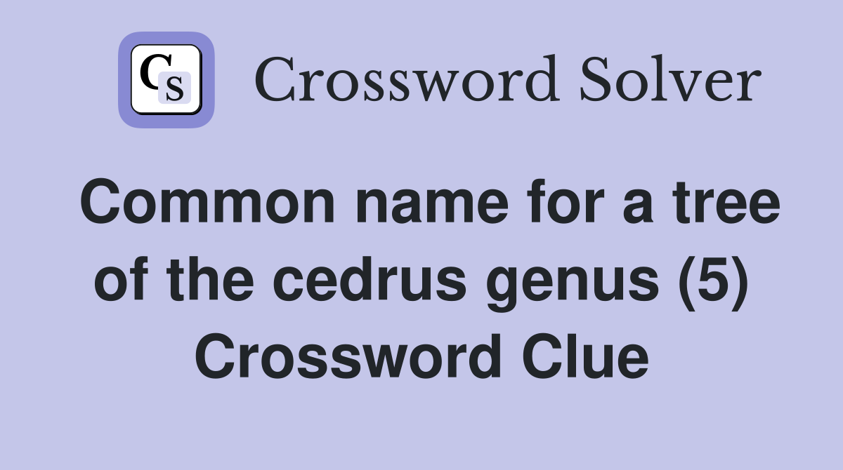 Common name for a tree of the cedrus genus (5) Crossword Clue