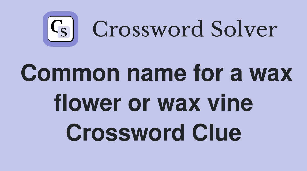 Common name for a wax flower or wax vine Crossword Clue