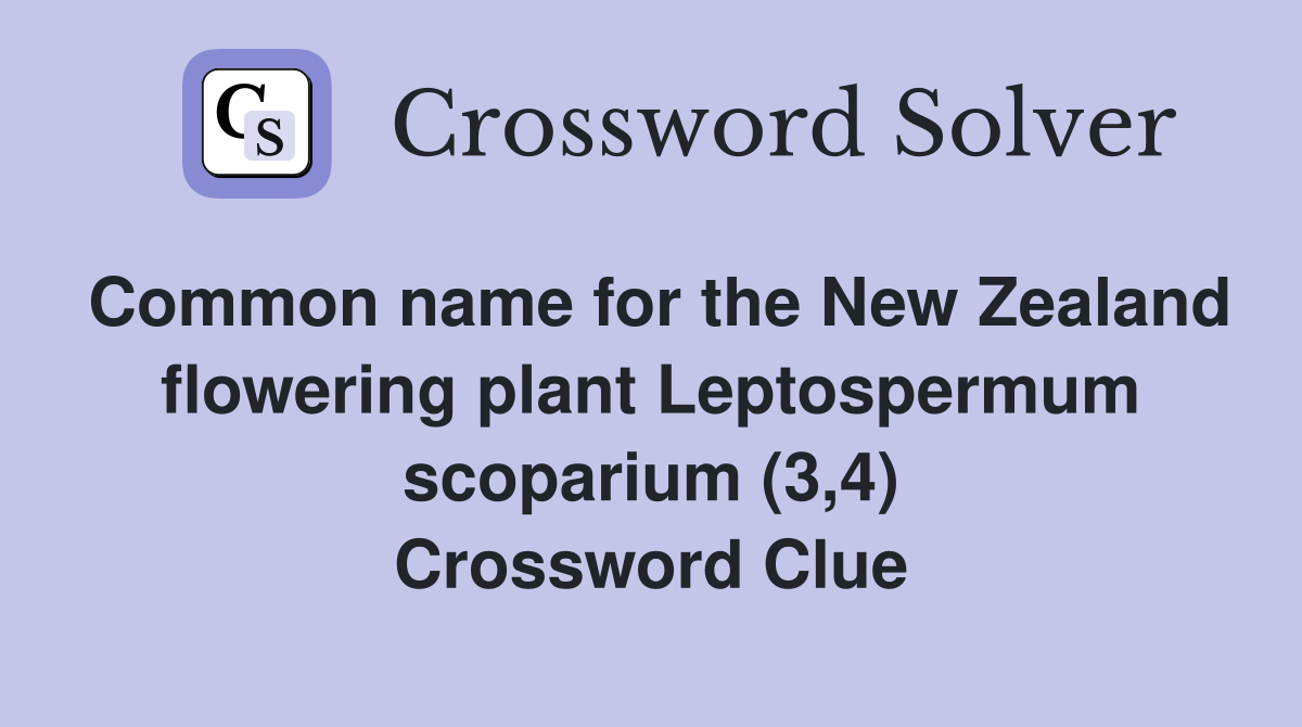 Common name for the New Zealand flowering plant Leptospermum scoparium (3,4) Crossword Clue