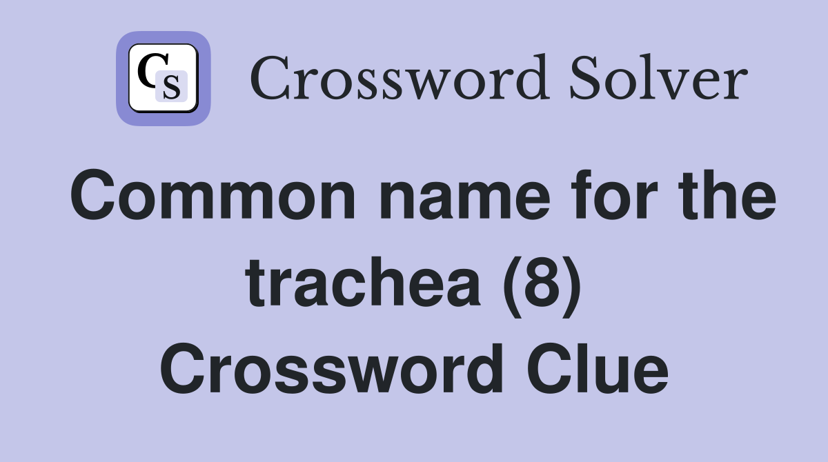Common name for the trachea (8) Crossword Clue