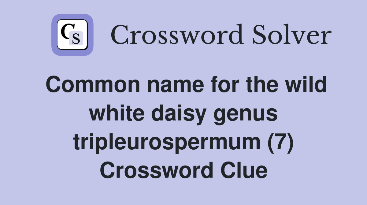 Common name for the wild white daisy genus tripleurospermum (7) Crossword Clue