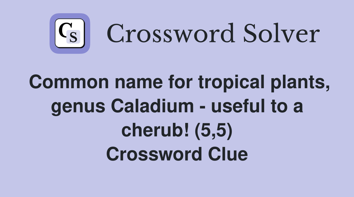Common name for tropical plants, genus Caladium - useful to a cherub! (5,5) Crossword Clue