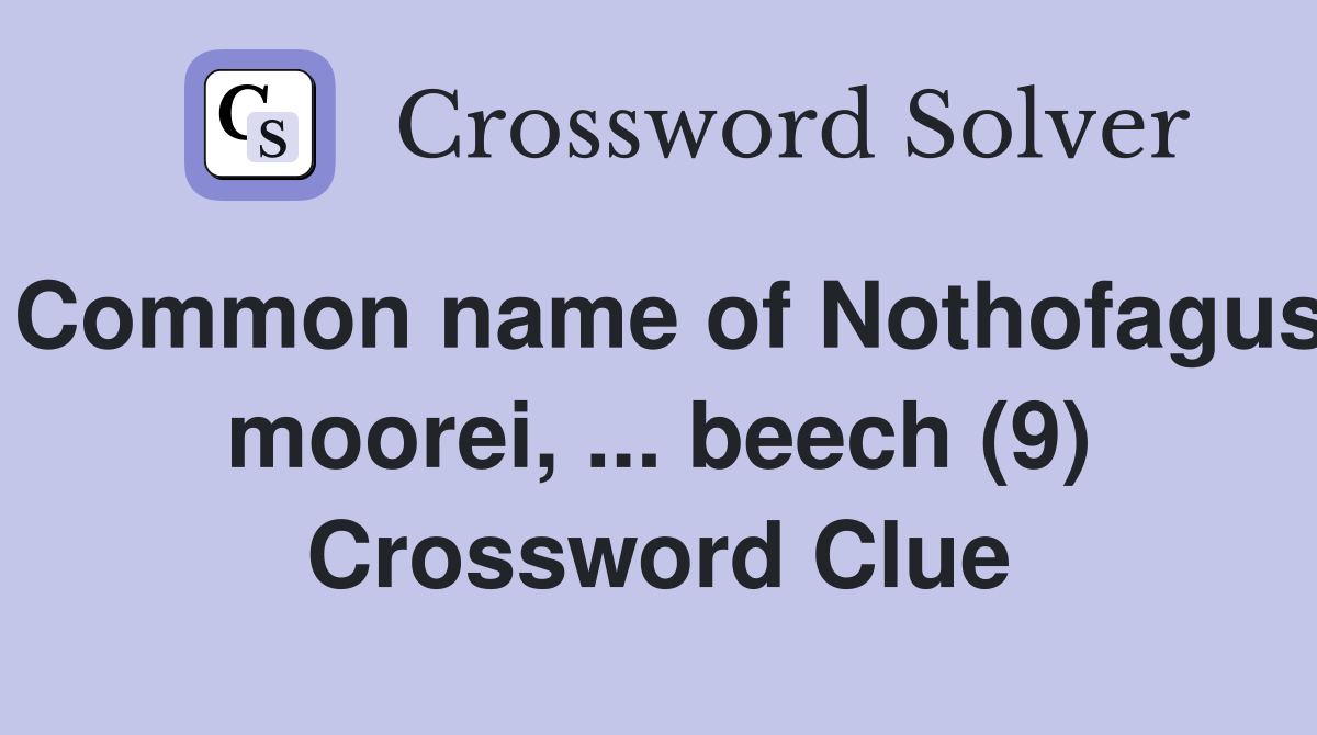 Common name of Nothofagus moorei, ... beech (9) Crossword Clue