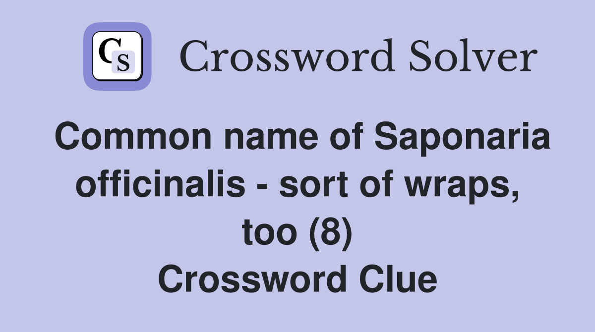 Common name of Saponaria officinalis - sort of wraps, too (8) Crossword Clue