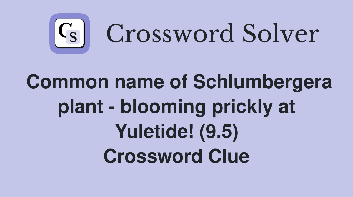 Common name of Schlumbergera plant - blooming prickly at Yuletide! (9.5) Crossword Clue