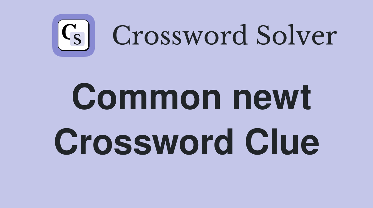Common newt Crossword Clue