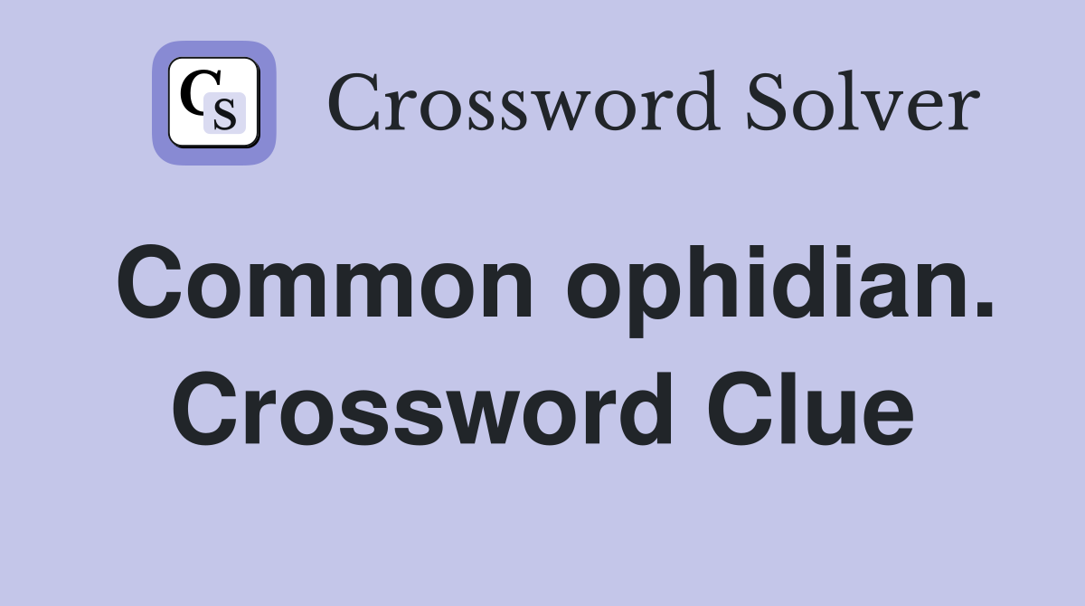 Common ophidian. Crossword Clue