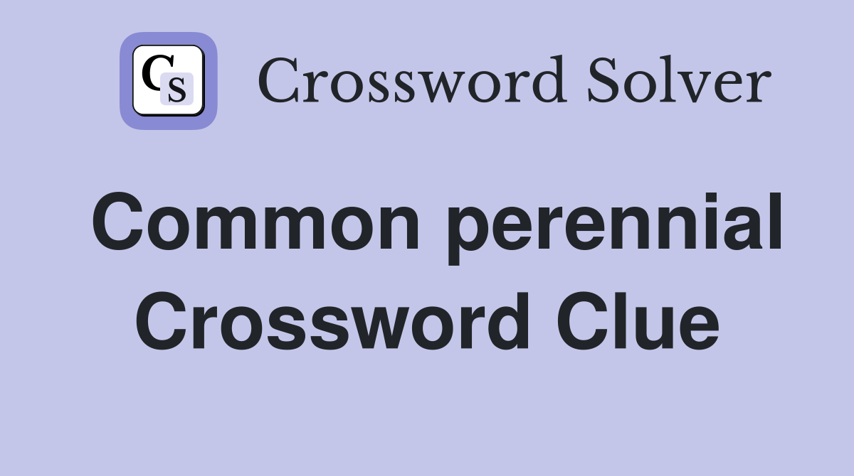 Common perennial Crossword Clue