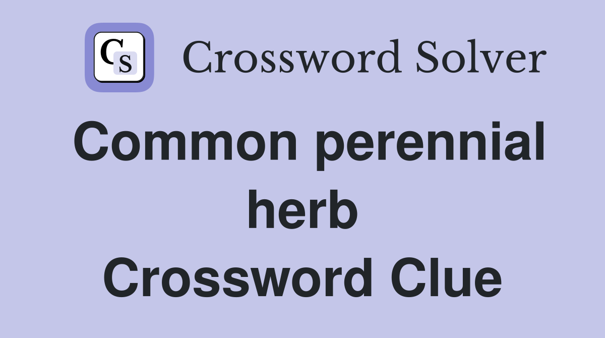 Common perennial herb Crossword Clue
