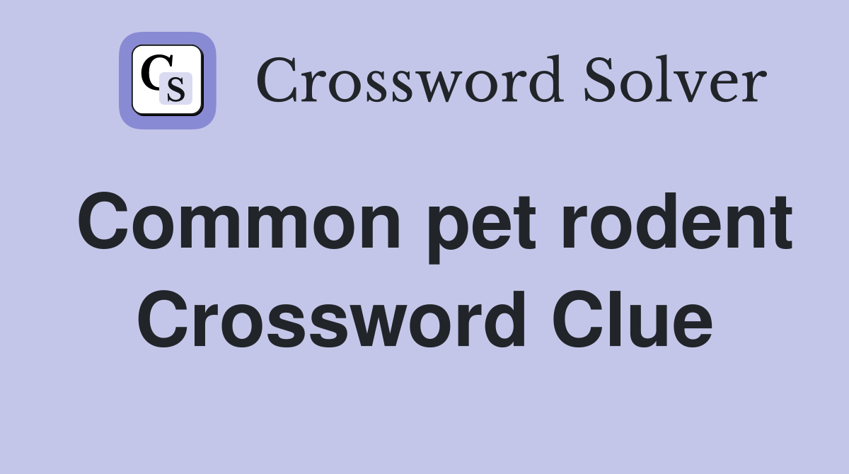 Common pet rodent Crossword Clue