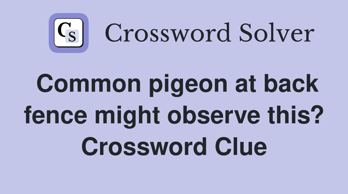 Common pigeon at back fence might observe this? Crossword Clue