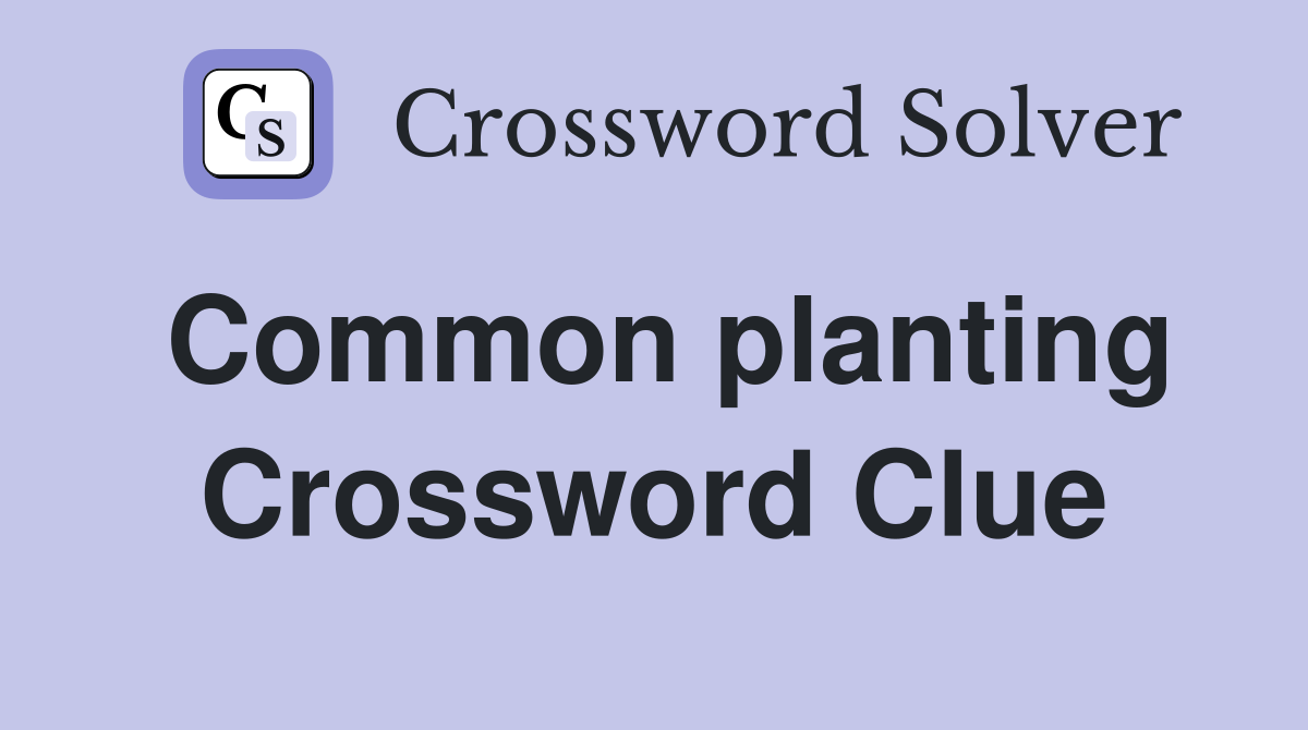 Common planting Crossword Clue