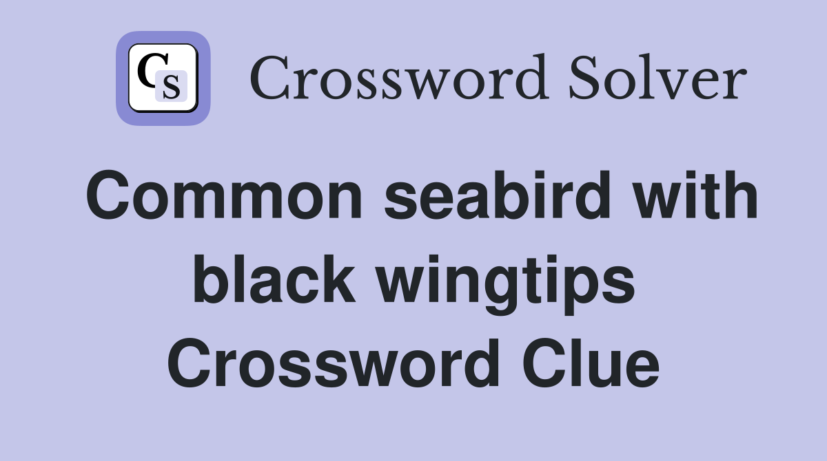 Common seabird with black wingtips Crossword Clue