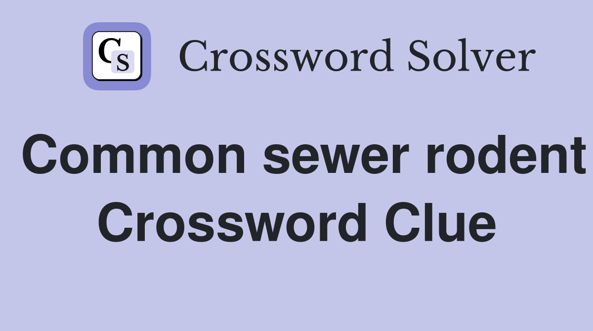 Common sewer rodent Crossword Clue