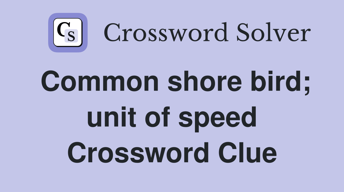 Common shore bird; unit of speed Crossword Clue
