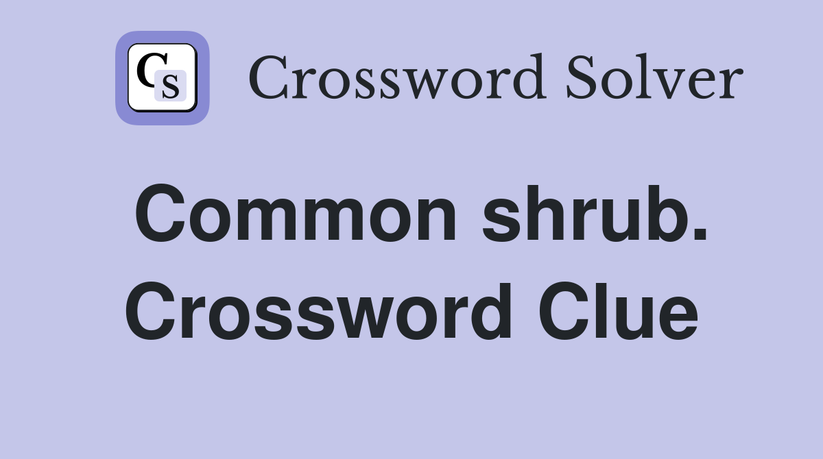 Common shrub. Crossword Clue