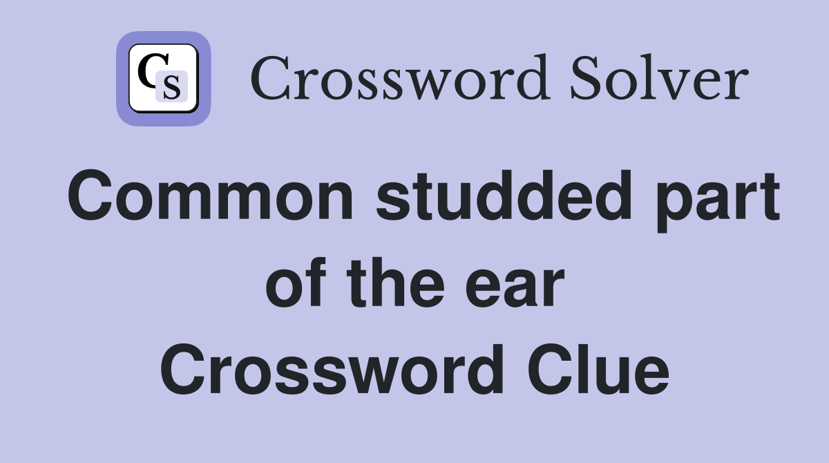 Common studded part of the ear Crossword Clue