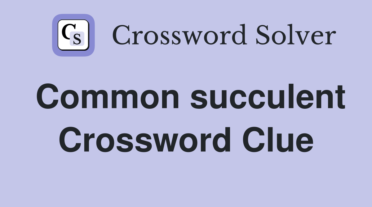 Common succulent Crossword Clue