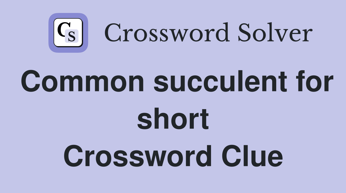 Common succulent for short Crossword Clue