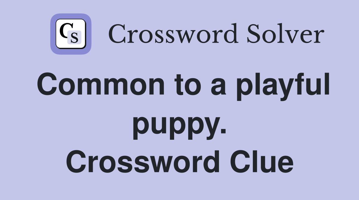 Common to a playful puppy. Crossword Clue