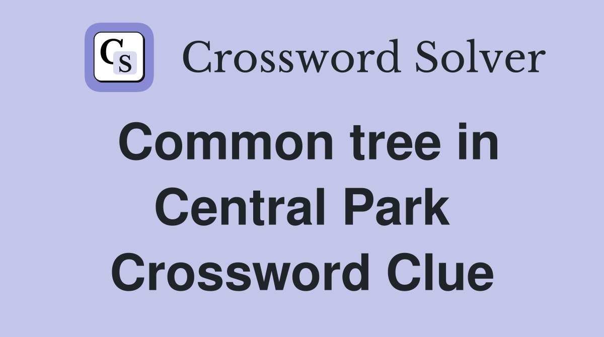 Common tree in Central Park Crossword Clue