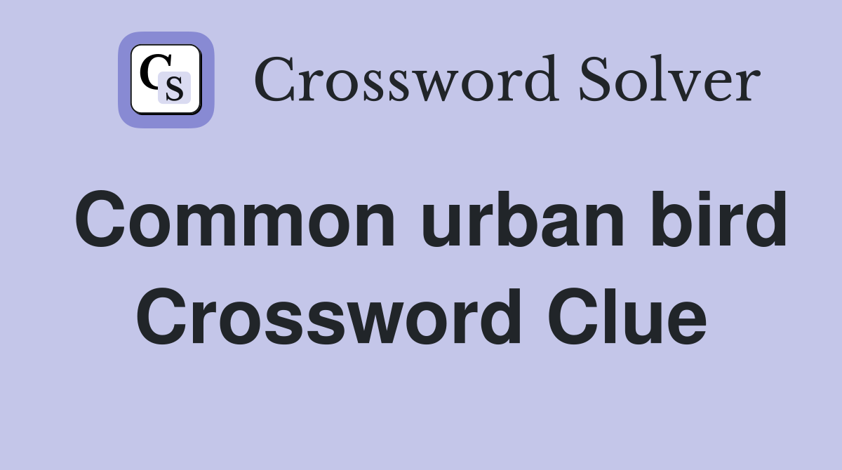 Common urban bird Crossword Clue