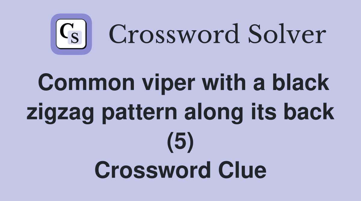 Common viper with a black zigzag pattern along its back (5) Crossword Clue