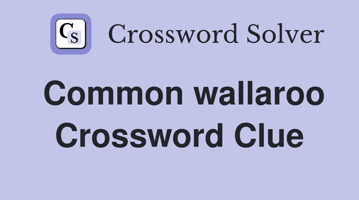 Common wallaroo Crossword Clue