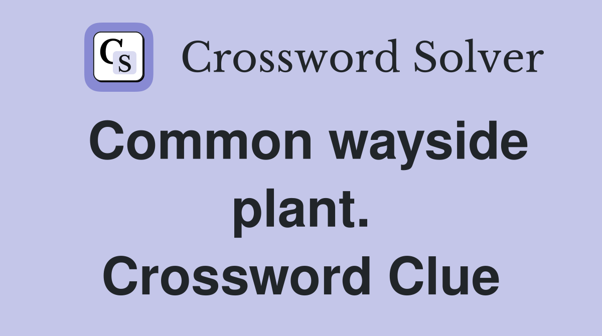 Common wayside plant. Crossword Clue