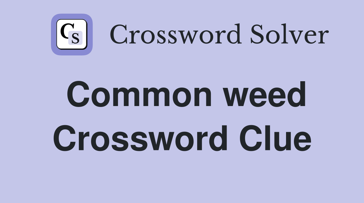 Common weed Crossword Clue