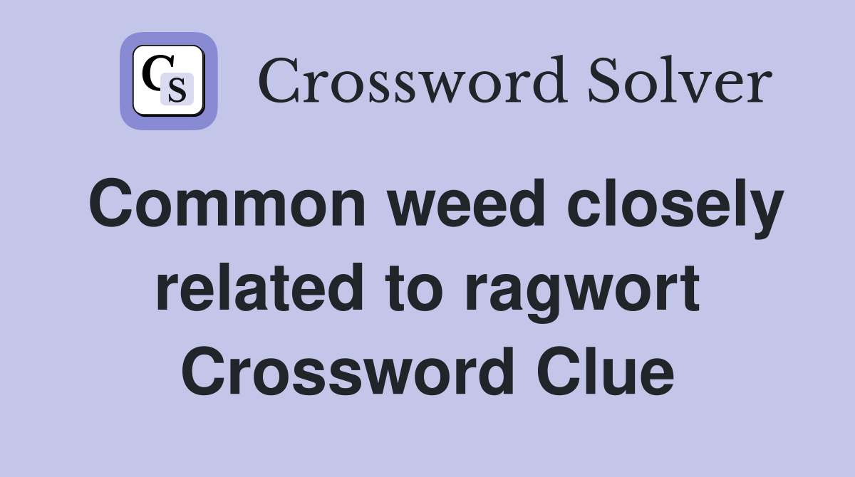 Common weed closely related to ragwort Crossword Clue