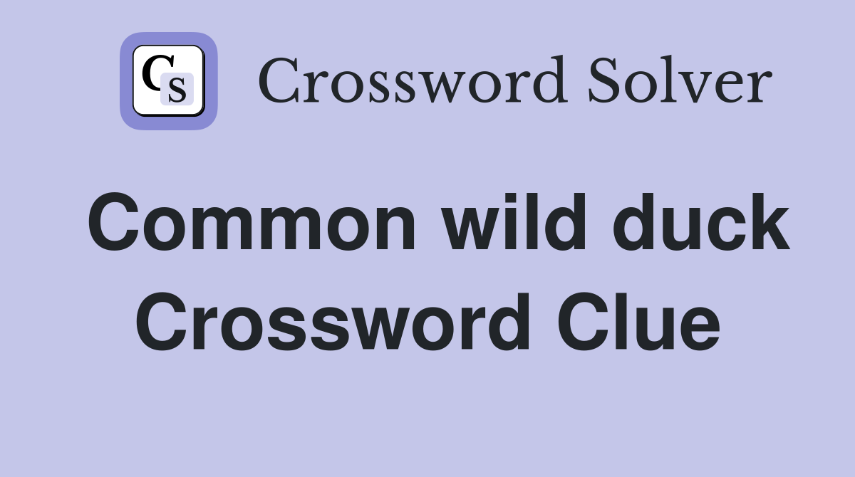 Common wild duck Crossword Clue
