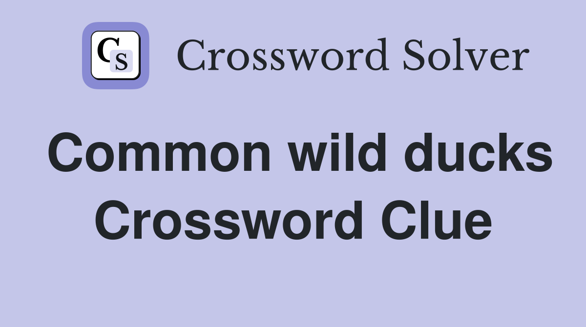Common wild ducks Crossword Clue