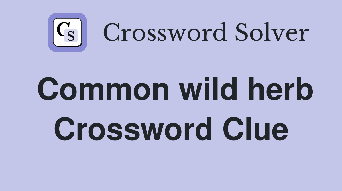 Common wild herb Crossword Clue