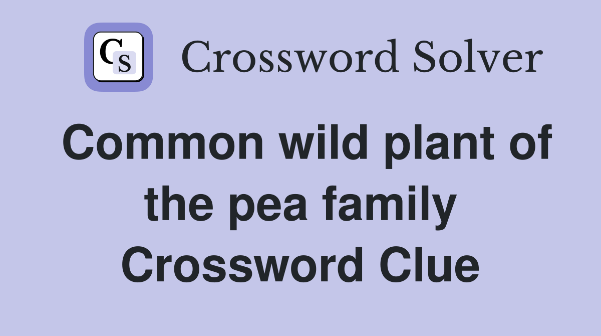 Common wild plant of the pea family Crossword Clue