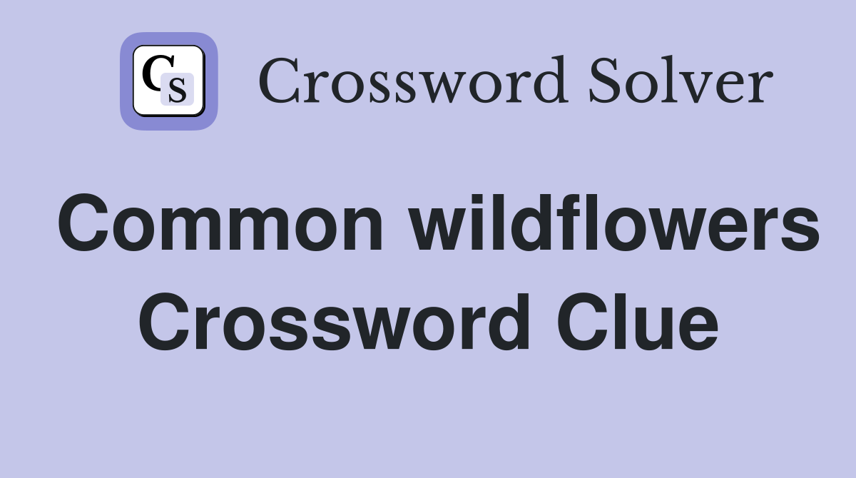Common wildflowers Crossword Clue