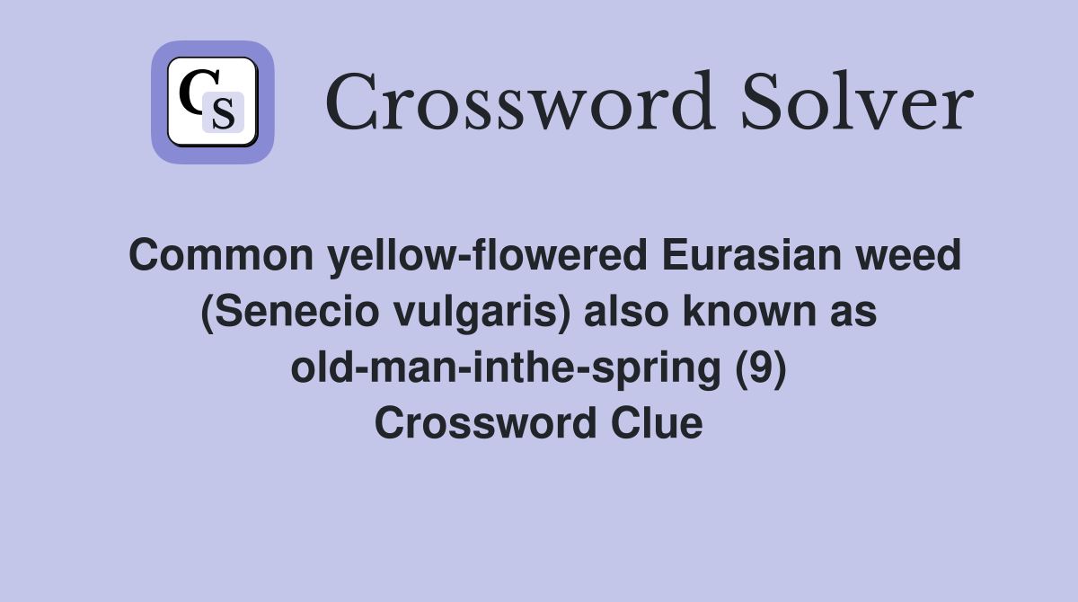 Common yellow-flowered Eurasian weed (Senecio vulgaris) also known as old-man-inthe-spring (9) Crossword Clue