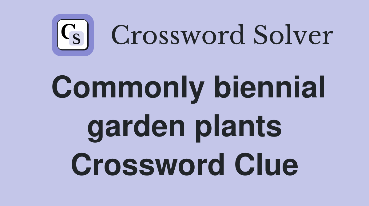 Commonly biennial garden plants Crossword Clue