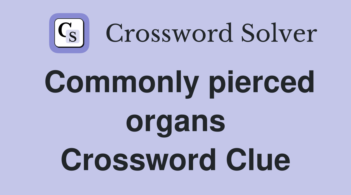 Commonly pierced organs Crossword Clue
