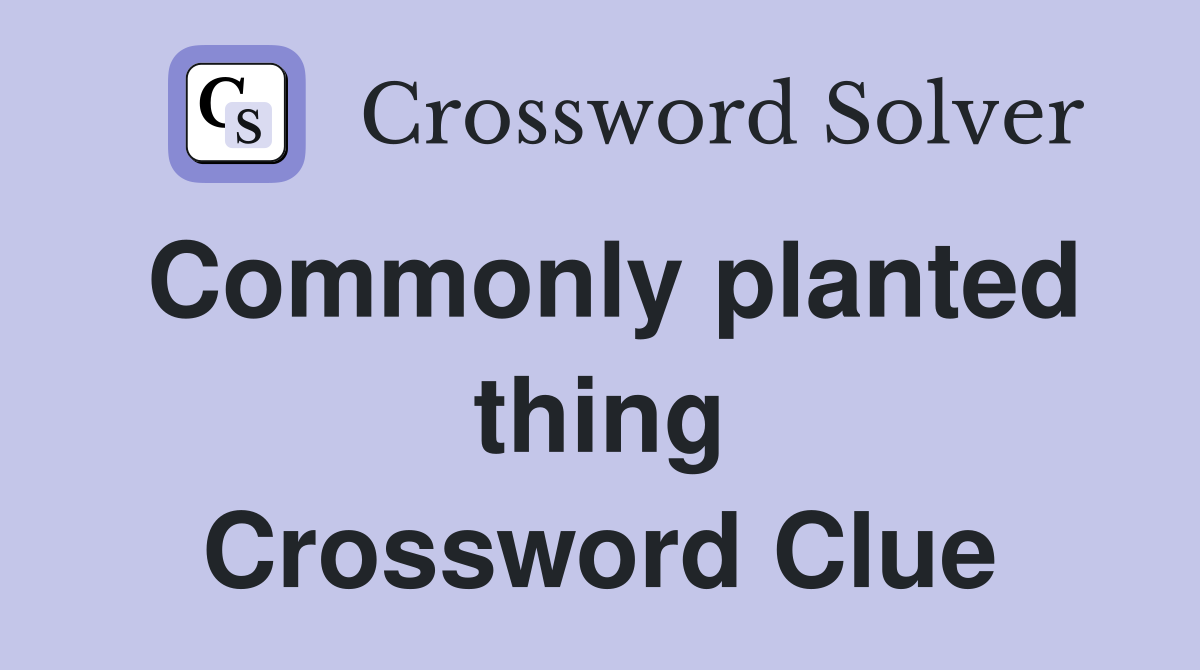 Commonly planted thing Crossword Clue