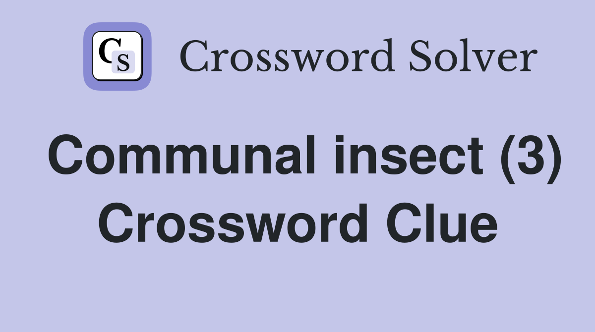 Communal insect (3) Crossword Clue