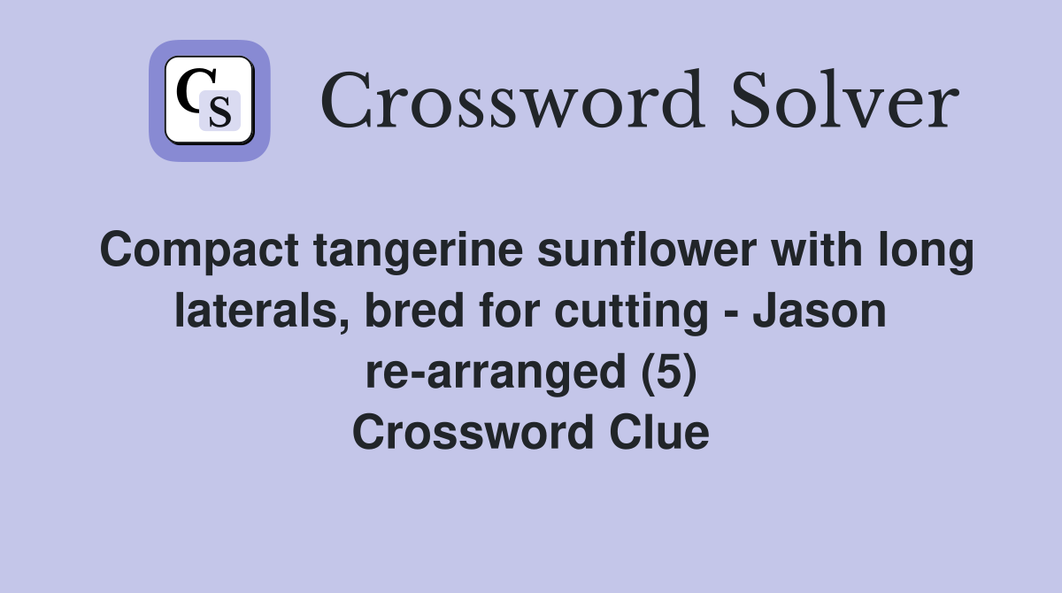 Compact tangerine sunflower with long laterals, bred for cutting - Jason re-arranged (5) Crossword Clue