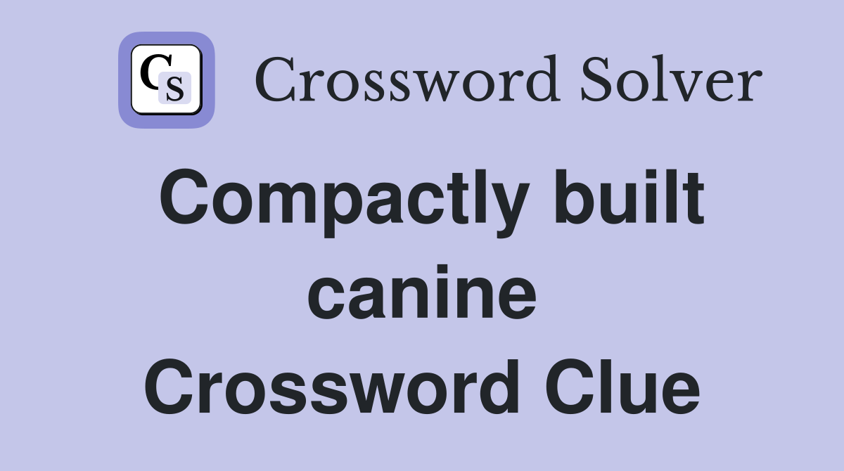 Compactly built canine Crossword Clue